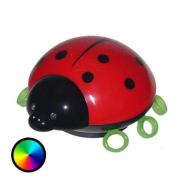 Sterrenhemel met het LED-nachtlicht Beetlestar