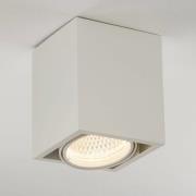 Arcchio Cirdan LED plafondlamp 1-lamp wit