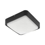 EGLO Connect Piove-C LED buiten wandlamp