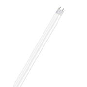 OSRAM LED buis G13 T8 60cm SubstiTUBE 6,6W 3.000K