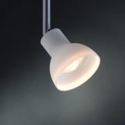 Paulmann Juwel LED reflectorlamp GU5.3 12V 3W
