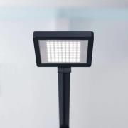 LED tafellamp PARA.MI FTL 108 R zwart 930