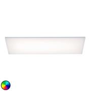 Paul Neuhaus Frameless plafondlamp RGBW 60x30cm