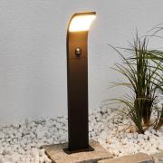 Timm - LED-tuinpadverlichting met sensor, 60 cm