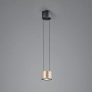 BANKAMP Impulse Flex LED hanglamp 1-lamp roze