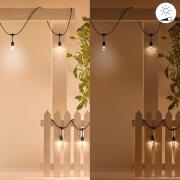 WiZ String Lights LED lichtketting voor buiten, 14,8 m, CCT, RGB