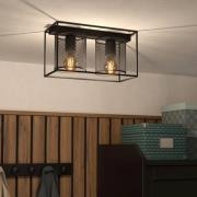 Plafondlamp Catterick, zwart, twee kooikappen