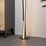 LED vloerlamp Panagria, zwart met houten detail