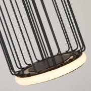 LED hanglamp Cage 1-lamp, zwart