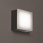 LED buitenwandlamp 1425 grafiet 12,5 x 12,5cm