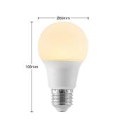 LED lamp E27 A60 8W 3.000K opaal, 10 per set