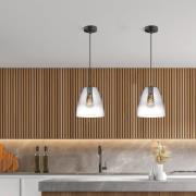 Hanglamp Miro 1-lamp Glas rookgrijs/helder Ø20cm