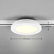 Camillus LED track voor DUOline, wit, Ø 17 cm