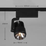 LED railspot Radiator voor DUOline, mat zwart, CCT