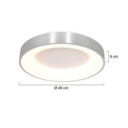 LED plafondlamp Ringlede 2.700 K Ø 48 cm zilver