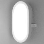 LEDVANCE Bulkhead LED buitenwandlamp 11W in Wit