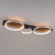LED plafondlamp Medera, 3-lamps, titaan
