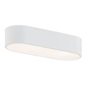 Tilden plafondlamp van staal in wit, lengte 50 cm