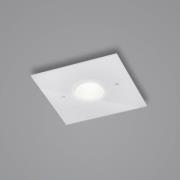 Helestra Nomi LED plafondlamp 23x23cm dim wit