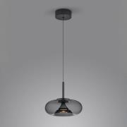 Helestra Sica LED hanglamp zwart/rookgrijs