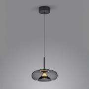 Helestra Sica hanglamp zwart/goud/rookgrijs