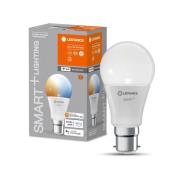 LEDVANCE SMART+ WiFi B22d 9W Klassiek 2.700-6.500K