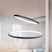 Circle LED hanglamp, antraciet, 2-lamps uitvoering