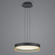 Mesh LED hanglamp, Ø 45 cm, zwart/goud