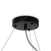 Maytoni Dallas hanglamp 25-lichts, rond, zwart