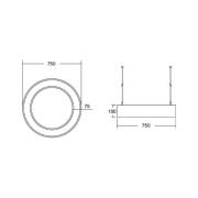 BRUMBERG Biro Cirkel Ring direct 75cm 50W aan/uit zwart 830