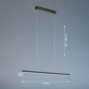 Hanglamp Beat, zwart/nikkelkleurig, lengte 113 cm