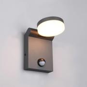 Buitenwandlamp Adour, antraciet, sensor, kantelbaar, CCT