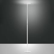 Regina LED vloerlamp, wit, CCT, dimbaar, hoogte 180 cm