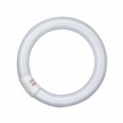 G10q 32W 865 Lumilux T9C TL-ring