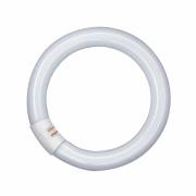G10q 32W 827 Lumilux T9C Ringvormige tl-lamp