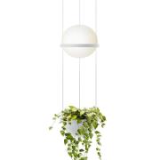 Vibia Palma 3724 hanglamp, plantenschaal, wit