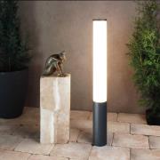 LED tuinpadverlichting Alhena, hoogte 90cm