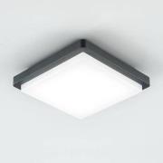 EVN Tectum LED buiten plafondlamp hoekig 150graden