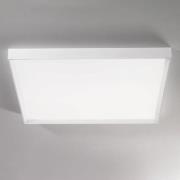 LED plafondlamp Tara mega, 89 cm x 89 cm