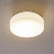 Bega 50078 LED plafondlamp DALI 3.000K Ø25cm