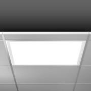 RZB Sidelite Eco LED paneel DALI 62,2cm 29W 830