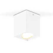 EVN Kardanus LED plafondlamp, 9x9cm, wit