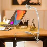 LED grondspies lamp New York, zwart