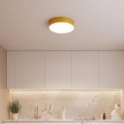 Plafondlamp Cleo, Ø 50 cm, IP54, goudkleurig, metaal, E27