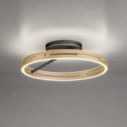 PURE LED plafondlamp Loop messing/zwart metaal Ø 60 cm CCT