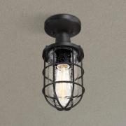 Westinghouse Crestview buiten plafondlamp