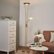 LED uplighter vloerlamp Eda met dimmer, messing