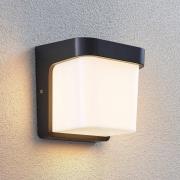 LED buitenwandlamp Adenike zonder sensor