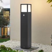 Lucande LED tuinpadverlichting Dewari, bewegingsmelder, 65 cm, IP54