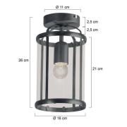 Pimpernel plafondlamp, zwart, metaal, glas